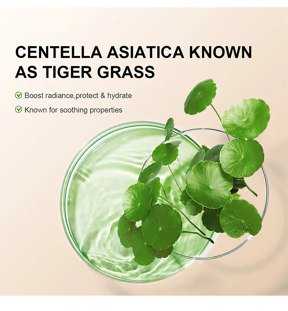 CC Cream au Centella Asiatica 45ml – Correctrice, Couvrante & Hydratante | Fond de Teint Naturel pour Tous Types de Peau