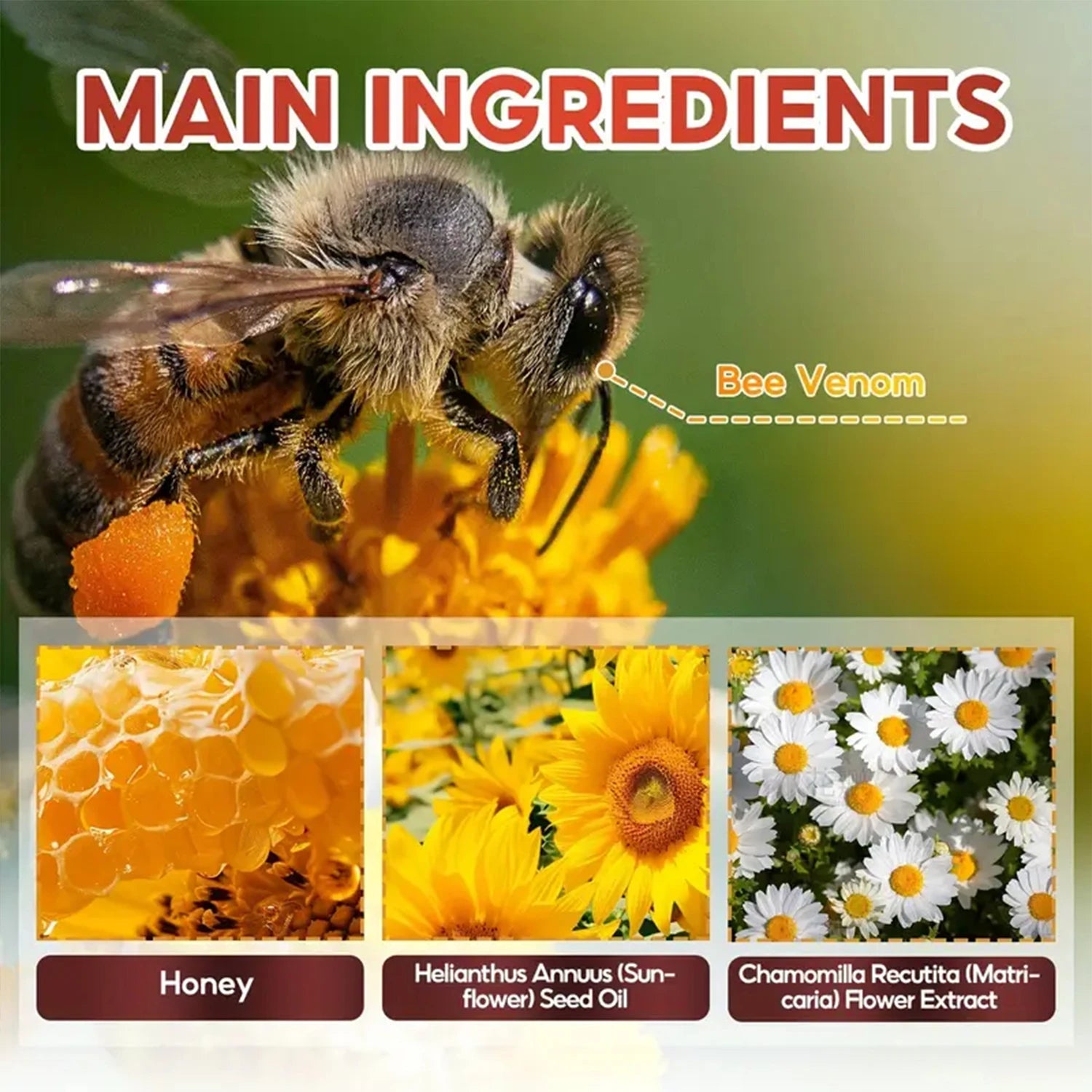 Crème de massage raffermissante muscles & corps – Collagène, Curcumine & Venin d'abeille